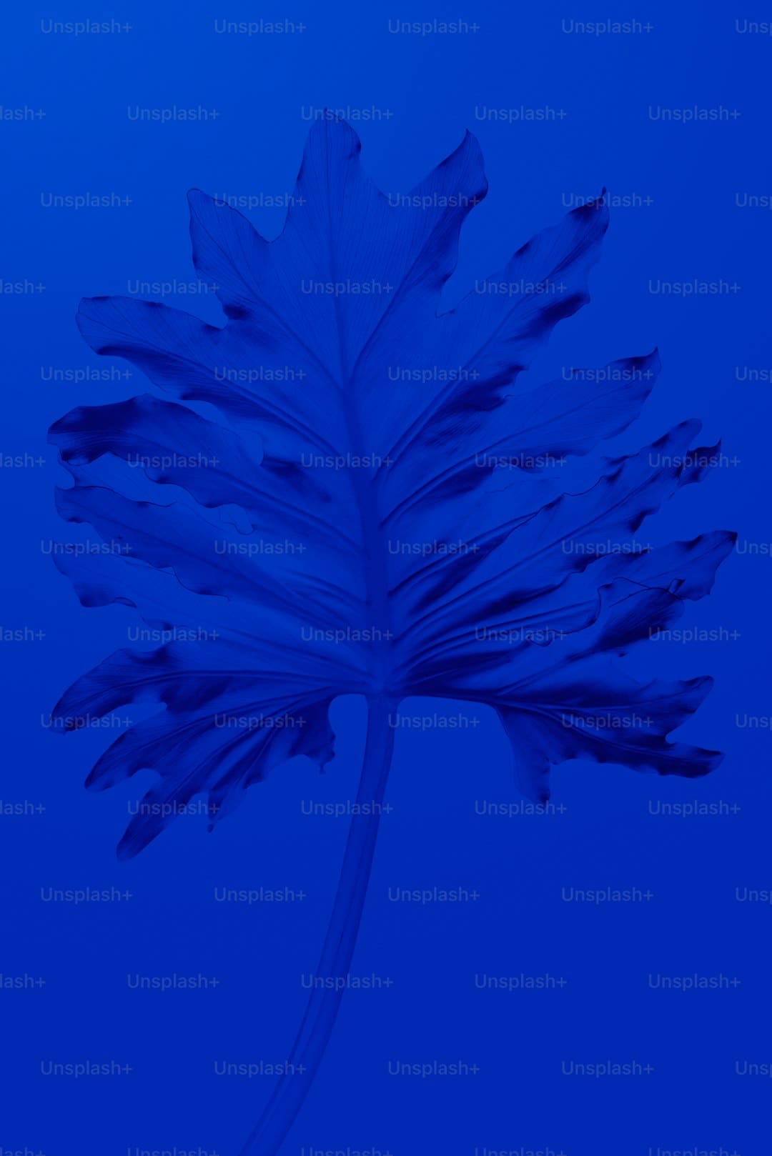 拟布局存储事务的算力概念股月内涨超160% 八月发表并购重组发展的A股名单一览